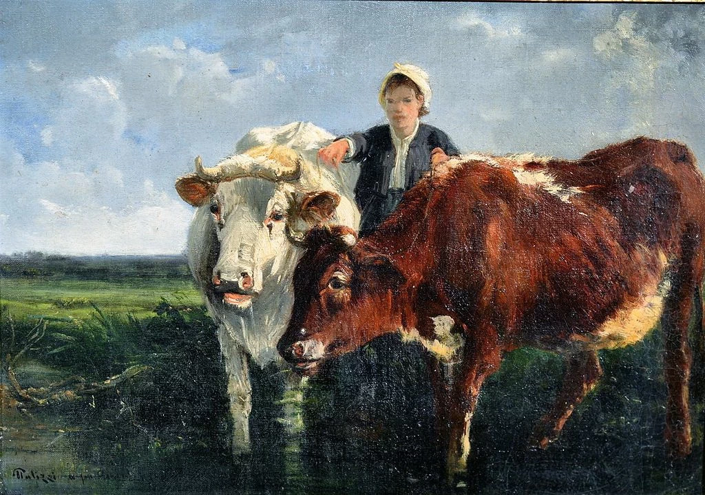 Mucche al pascolo